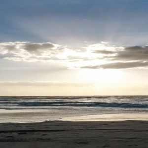 Meet your Posher, Liz